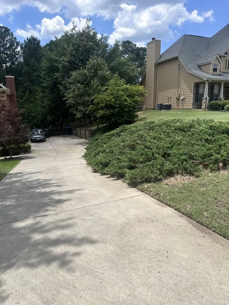 Professional landscape design in Harlem, GA by Lush Green Garden