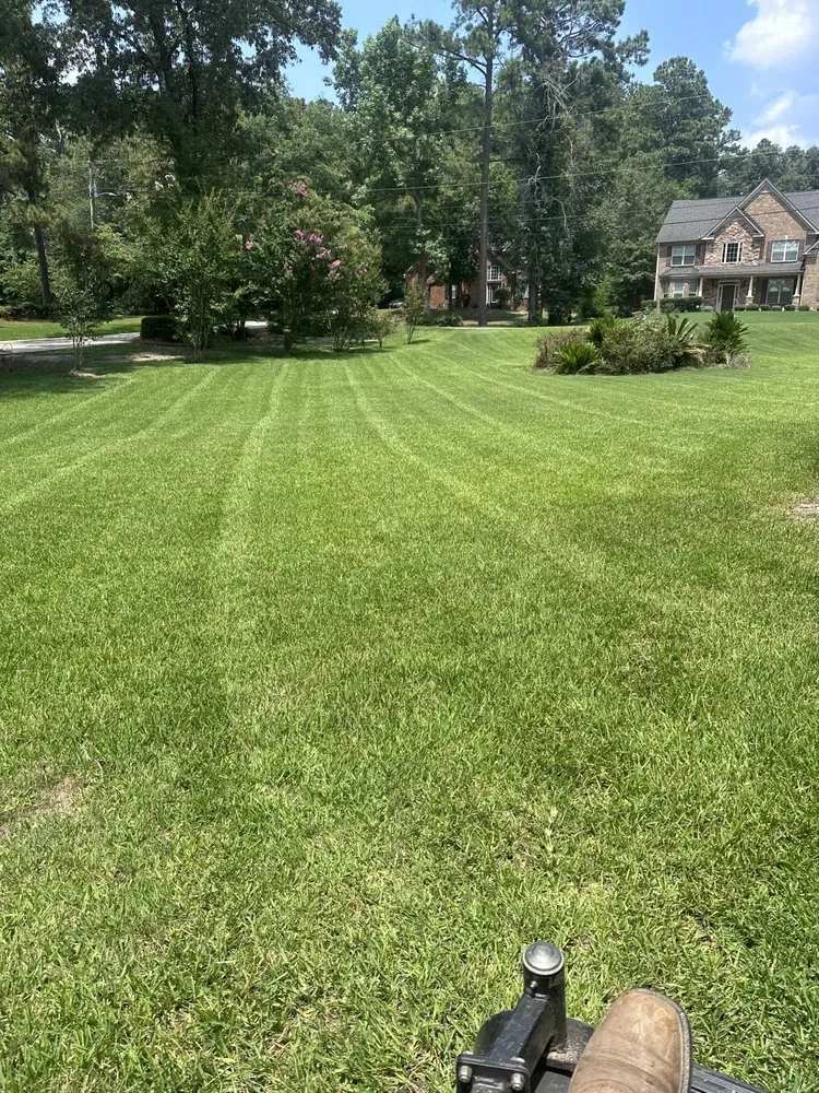 Trusted landscape design experts serving Harlem, GA - Lush Green Garden