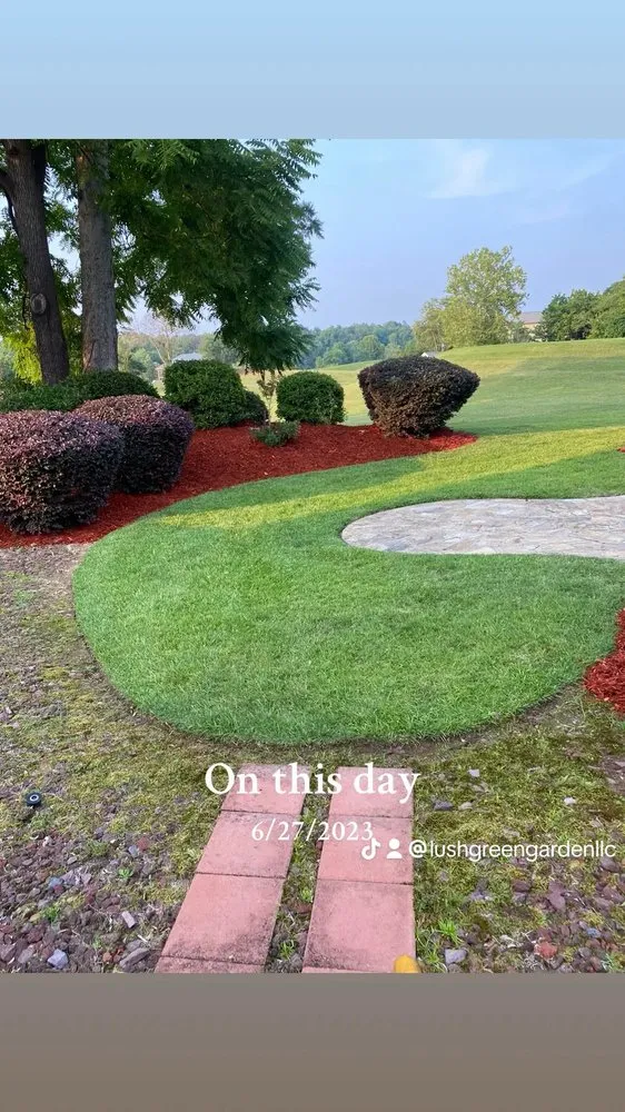 Affordable lawn care service in Harlem, GA - Lush Green Garden