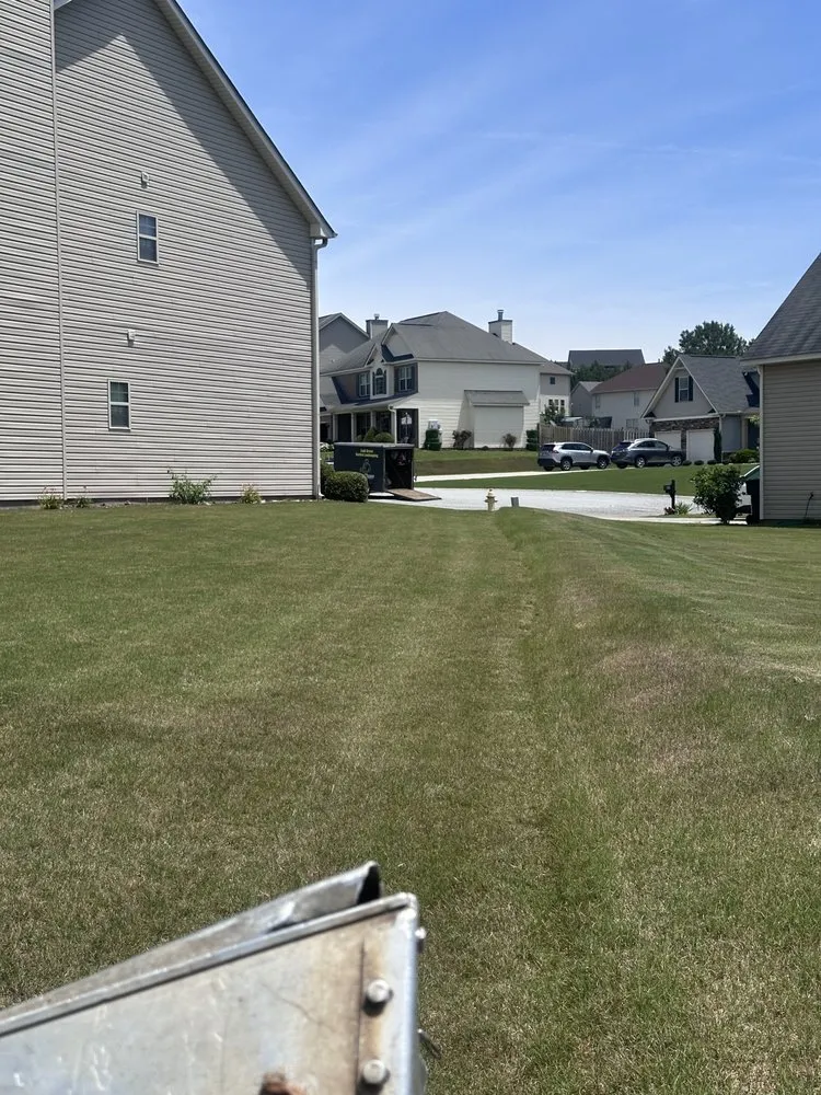 Reliable landscape design in Harlem, GA - Lush Green Garden