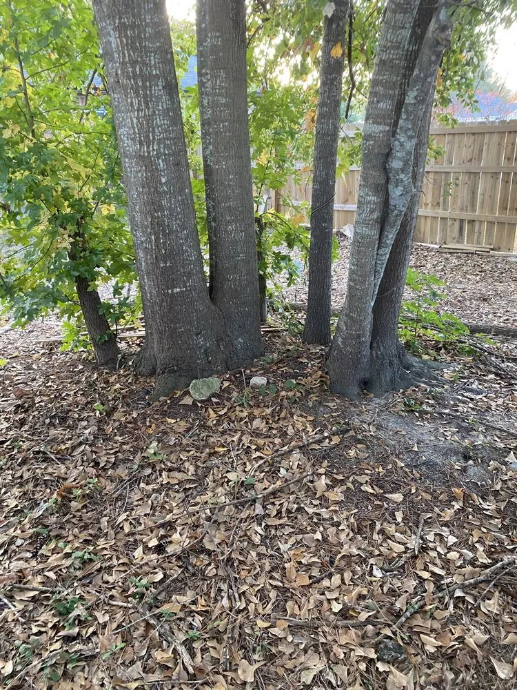 Professional landscaping services for outdoor upgrades in Harlem, GA by Lush Green Garden