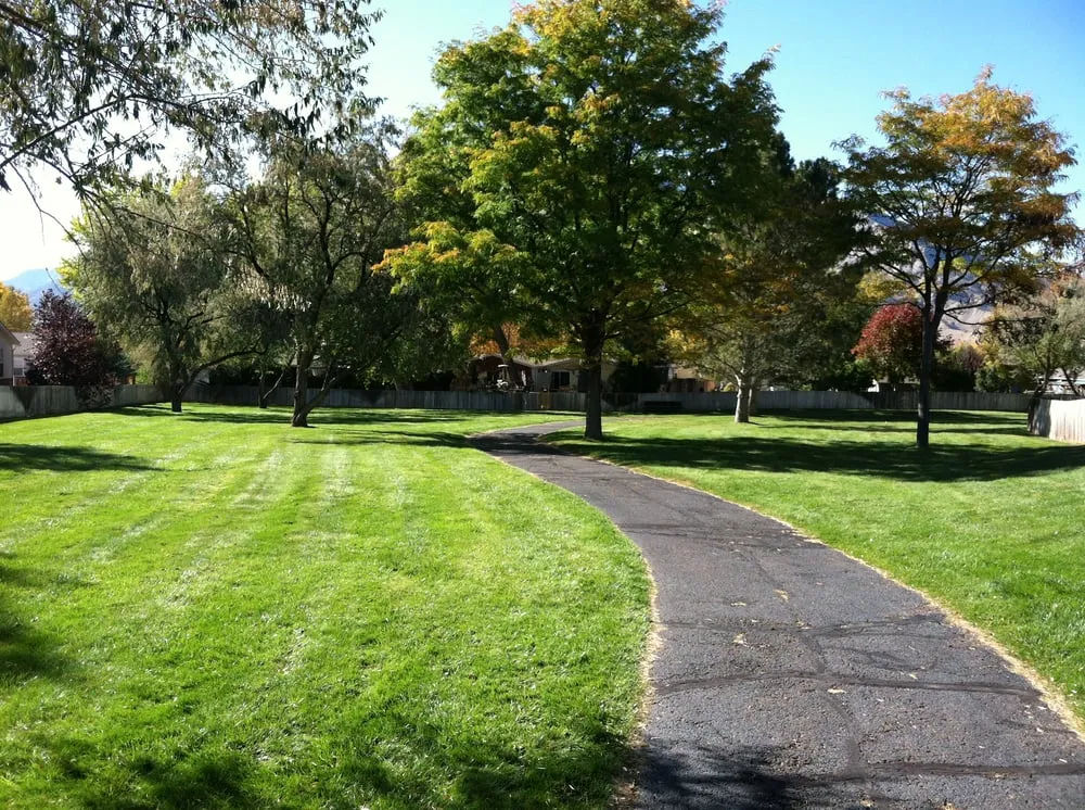 Local yard cleanup service in Palisade, CO by Lush Green Landscapes