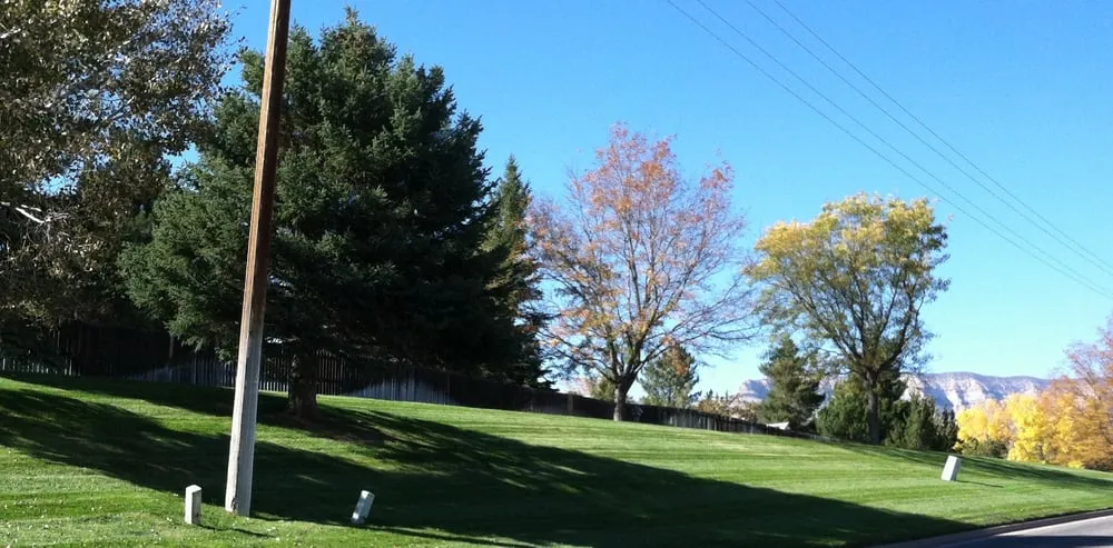 Expert landscape design in Palisade, CO - Lush Green Landscapes