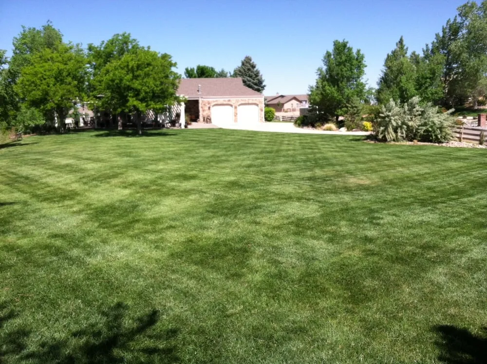 Affordable garden landscaping in Palisade, CO by Lush Green Landscapes