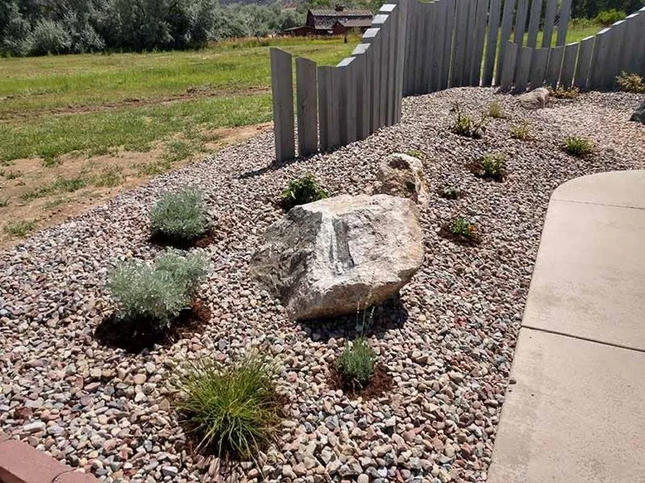 Local yard cleanup service near you across Palisade, CO - Lush Green Landscapes