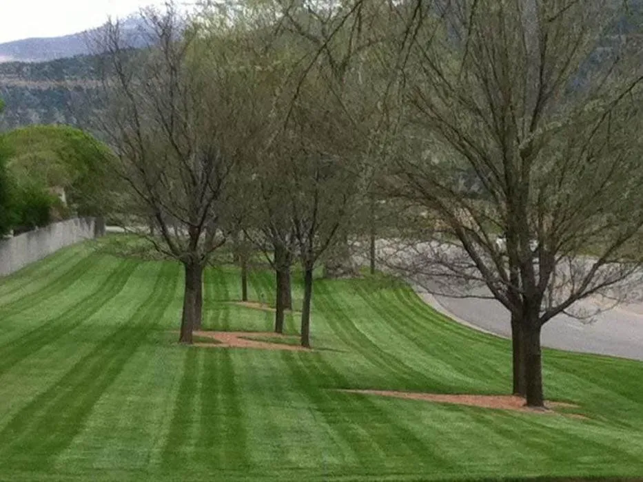 Custom yard maintenance in Palisade, CO by Lush Green Landscapes