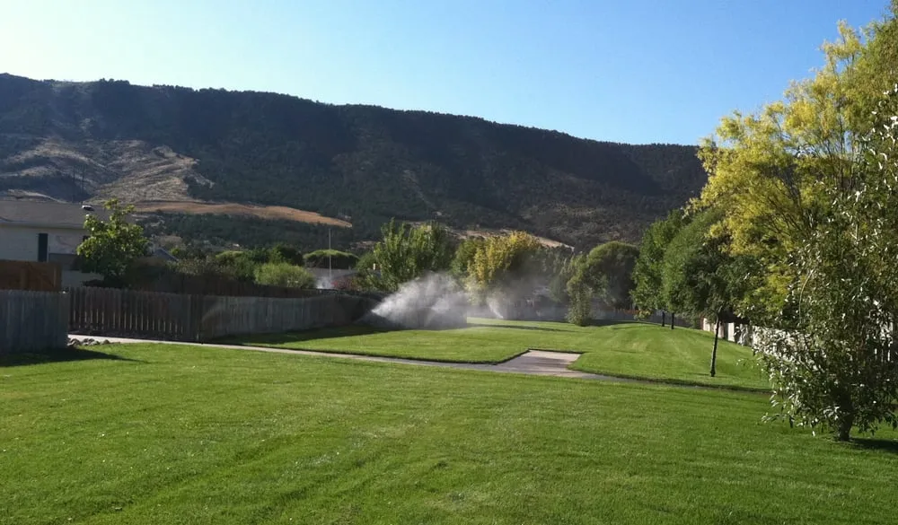 Affordable landscaping services in Palisade, CO by Lush Green Landscapes