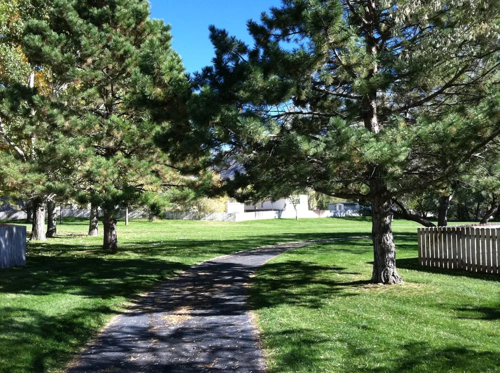 Custom residential landscaping in Palisade, CO - Lush Green Landscapes