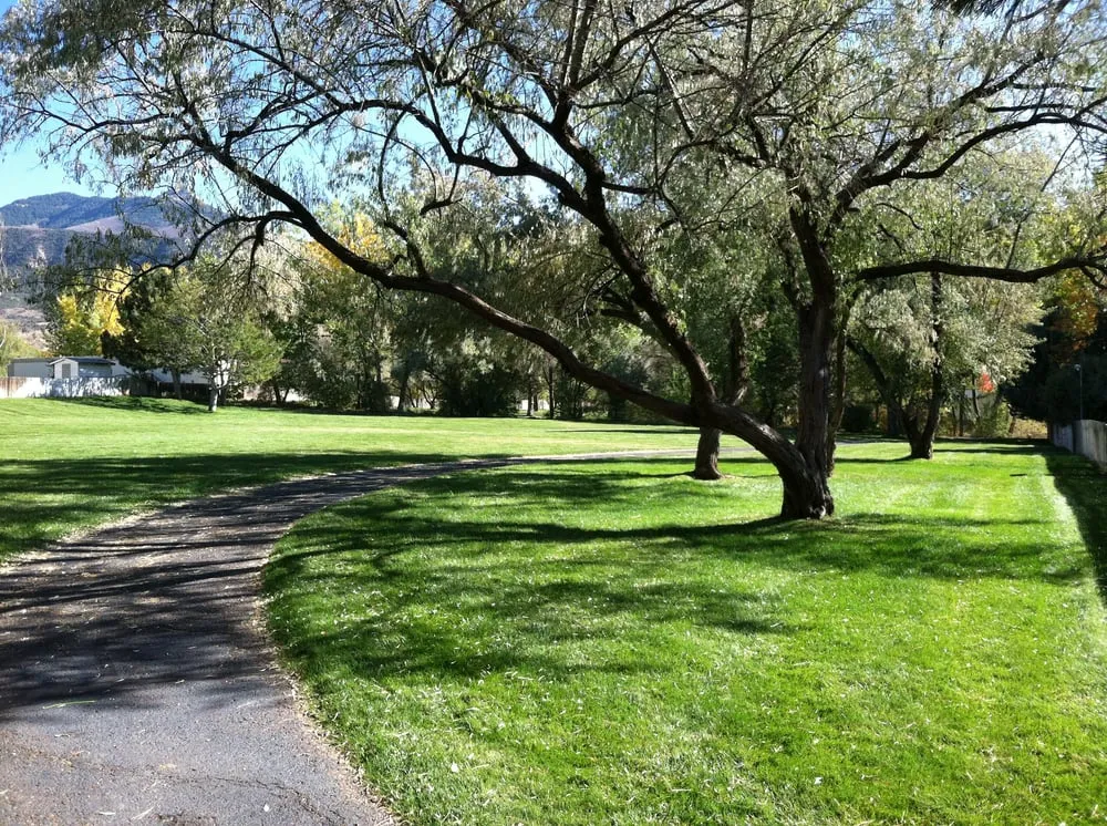 Local yard maintenance experts serving Palisade, CO - Lush Green Landscapes