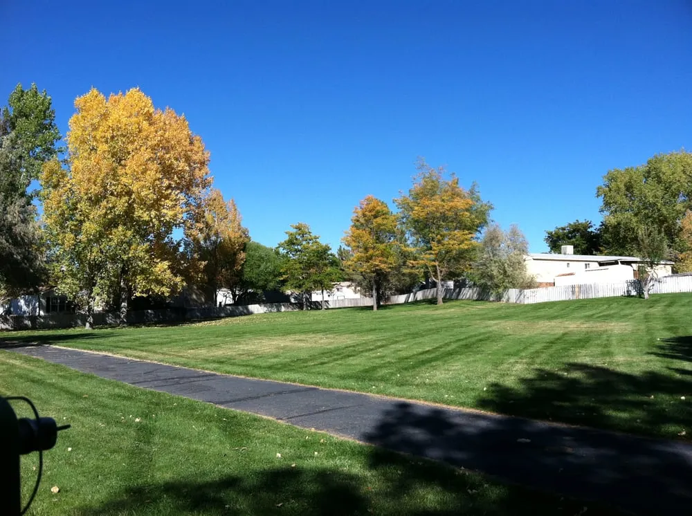 Trusted landscape design experts serving Palisade, CO - Lush Green Landscapes