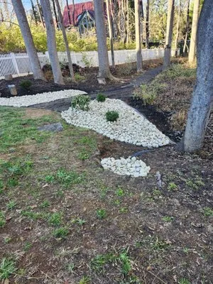 Lush Green Landscaping