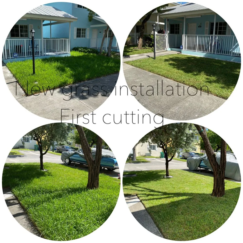 Expert residential landscaping for year-round maintenance across Palmetto Bay, FL - Lush Greenery Landscaping