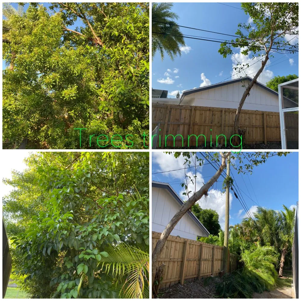 Top-rated yard cleanup service with custom design in Palmetto Bay, FL by Lush Greenery Landscaping