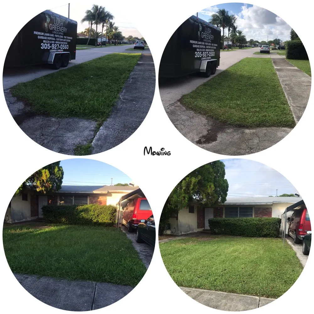 Top-rated lawn mowing service in Palmetto Bay, FL by Lush Greenery Landscaping
