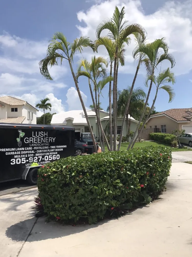 Local landscape design in Palmetto Bay, FL - Lush Greenery Landscaping