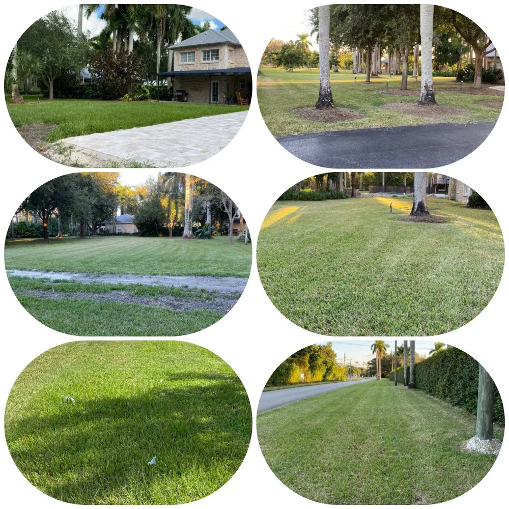 Expert lawn care service for outdoor upgrades across Palmetto Bay, FL - Lush Greenery Landscaping