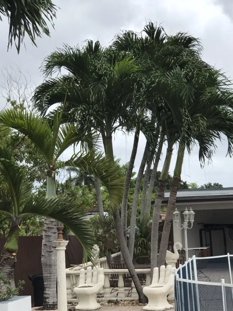 Custom lawn care service in Palmetto Bay, FL - Lush Greenery Landscaping