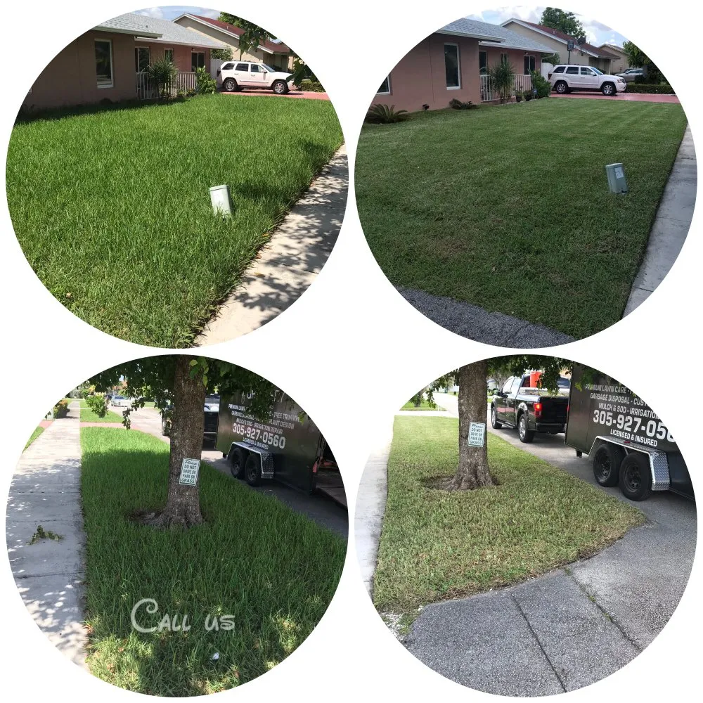 Reliable lawn care service for beautiful yards in Palmetto Bay, FL by Lush Greenery Landscaping