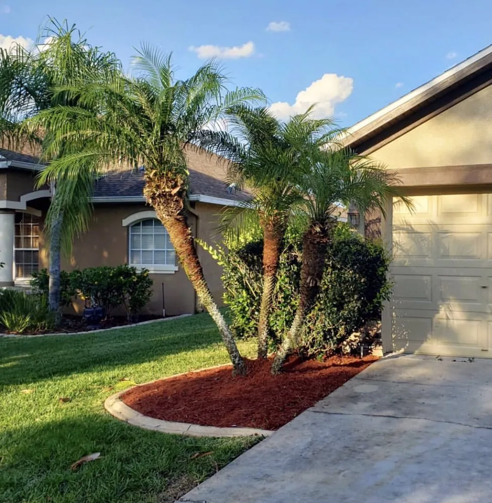 Local residential landscaping for beautiful yards across Palmetto Bay, FL - Lush Greenery Landscaping