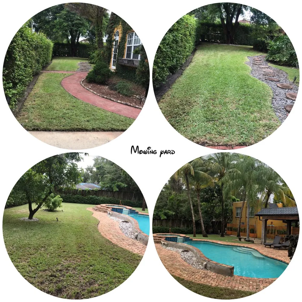 Expert yard cleanup service in Palmetto Bay, FL - Lush Greenery Landscaping
