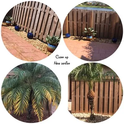 Lush Greenery Landscaping