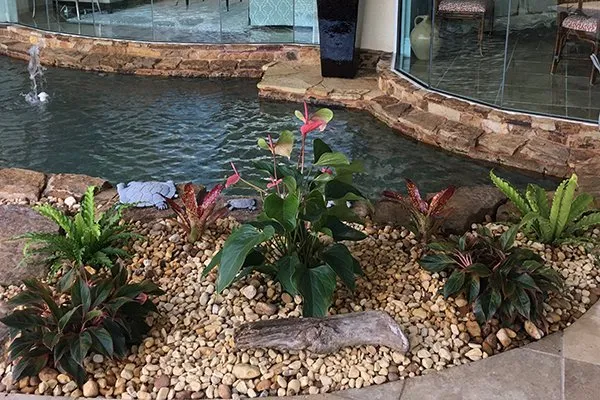 Expert garden landscaping for residential properties across Fort Myers, FL - Lush Lanais