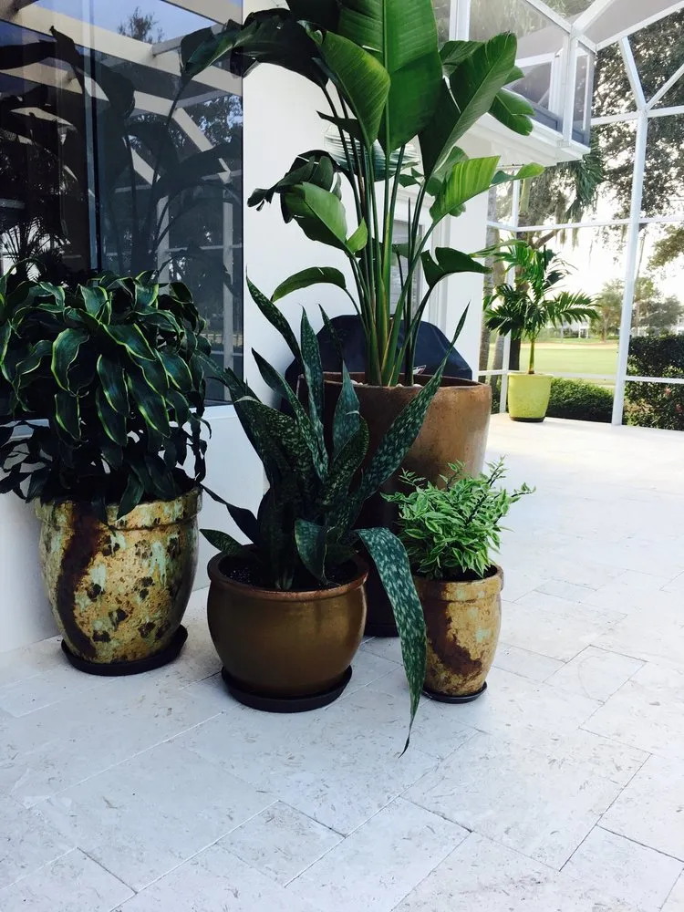 Trusted landscape installation for outdoor upgrades in Fort Myers, FL by Lush Lanais