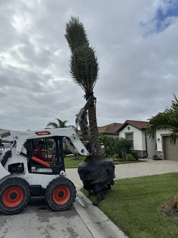 Custom lawn mowing service in Fort Myers, FL - Lush Lanais