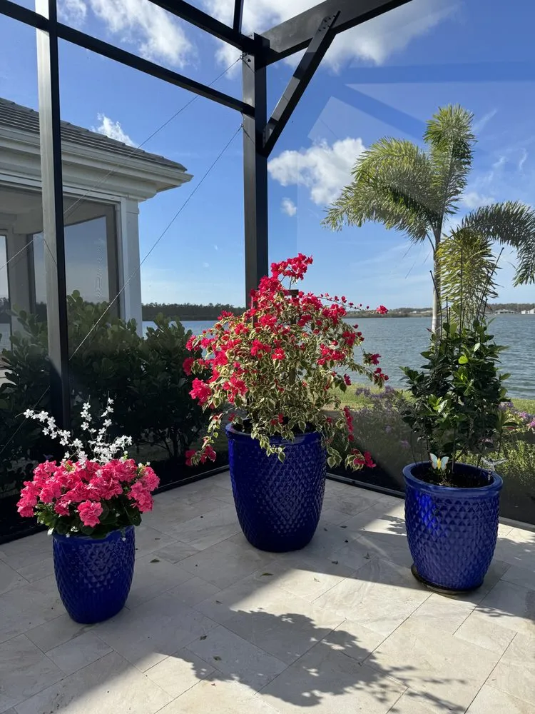 Professional landscaping services in Fort Myers, FL - Lush Lanais