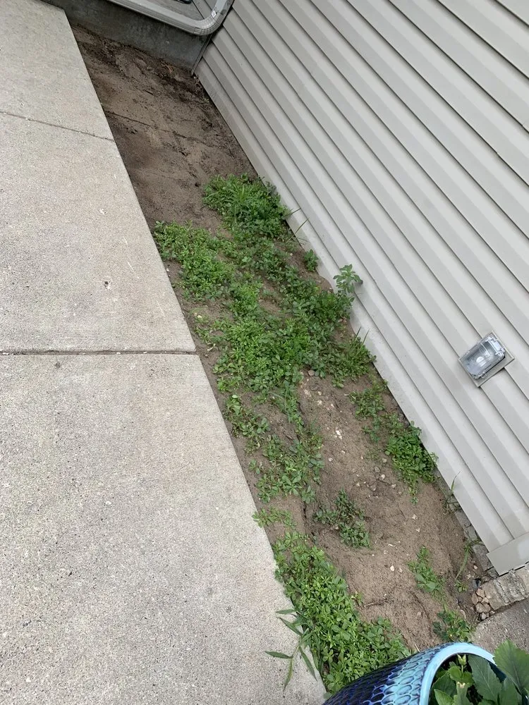 Custom yard maintenance in Elk River, MN by Lush Landscape & Irrigation