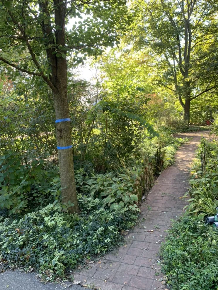 Professional outdoor landscaping for beautiful yards in Crown Point, IN by Lush Landscape