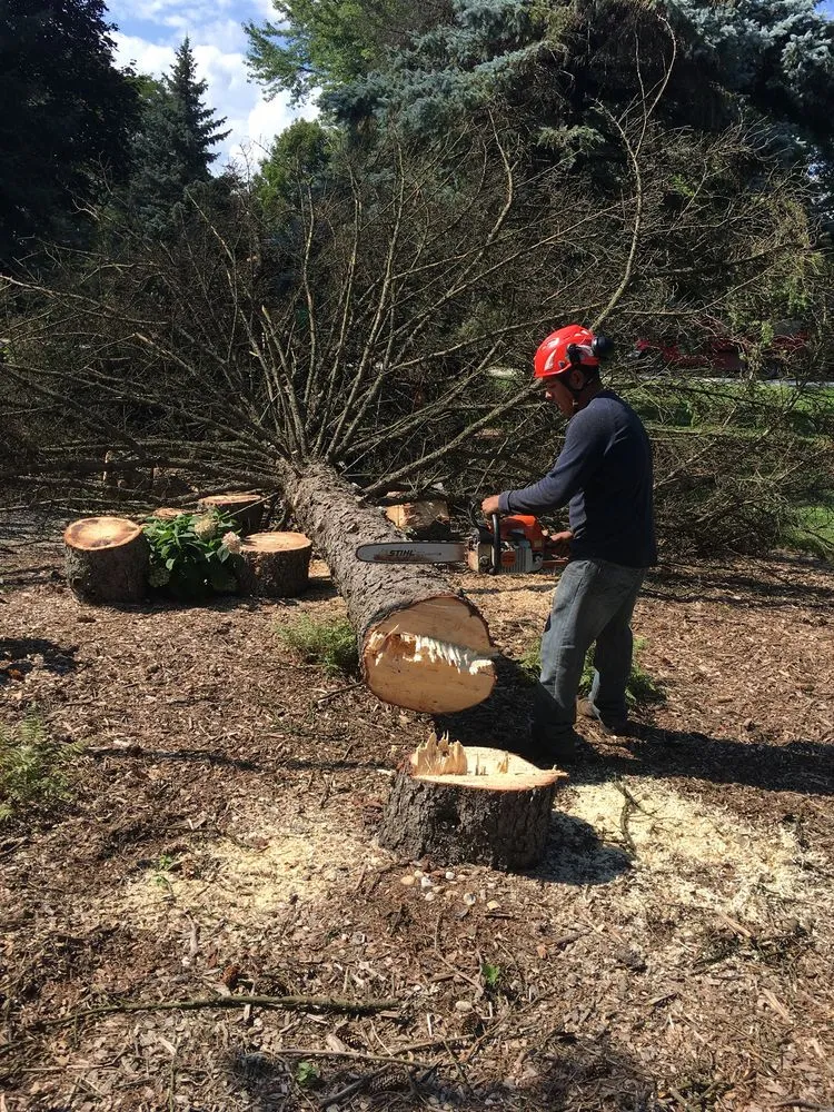 Local yard maintenance for outdoor upgrades in Crown Point, IN by Lush Landscape