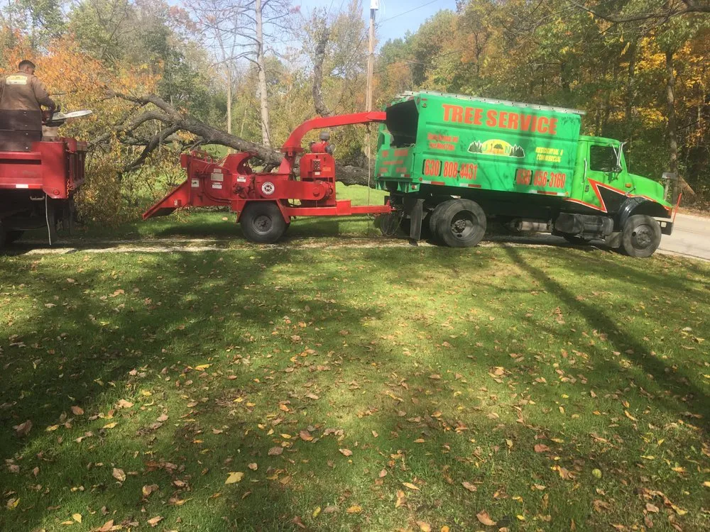 Local yard cleanup service in Crown Point, IN by Lush Landscape