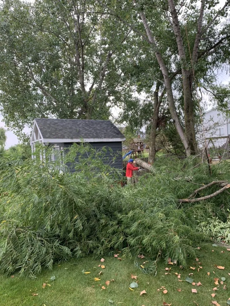 Expert yard cleanup service in Crown Point, IN by Lush Landscape