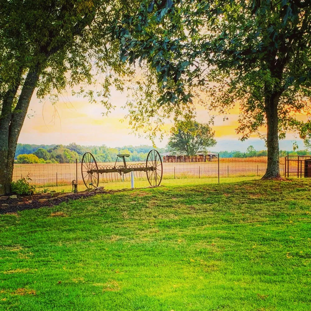 Custom lawn mowing service in Smithville, TN by Lush Landscape Solutions