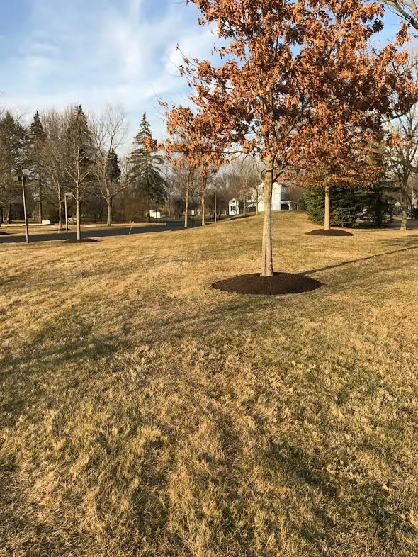 Top-rated landscape design in Warrington, PA by Lush Landscapes