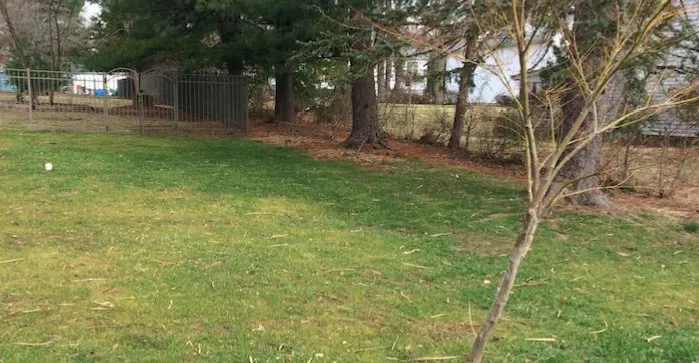 Reliable lawn mowing service experts serving Warrington, PA - Lush Landscapes