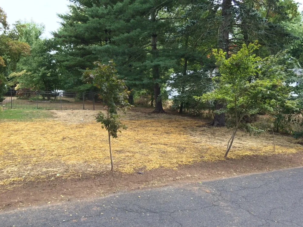 Trusted yard maintenance in Warrington, PA - Lush Landscapes