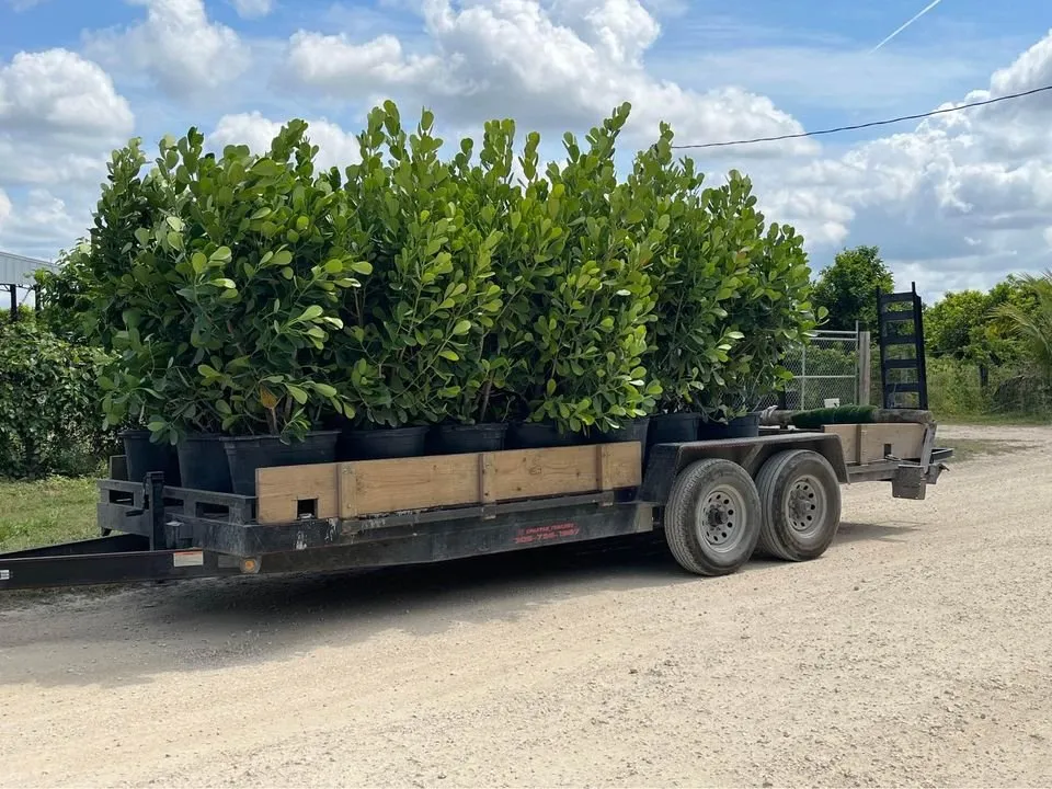 Professional garden landscaping for beautiful yards across Fort Myers, FL - Lush Landscapes/Lush Tree Service