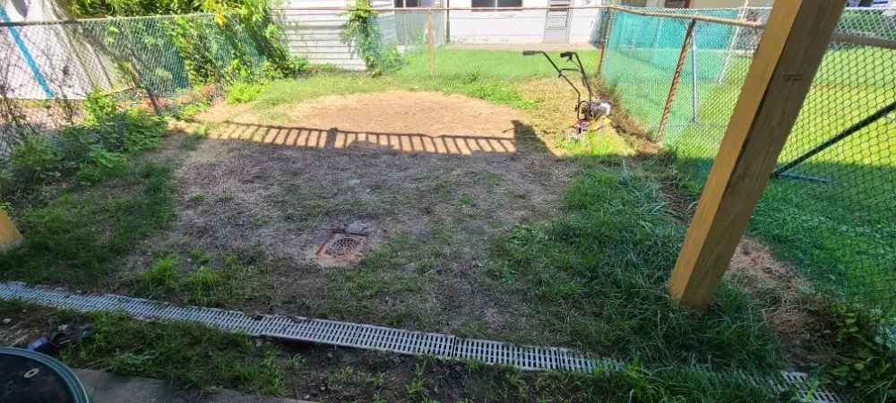 Top-rated landscaping services for year-round maintenance across Bristol, PA - Lush Landscaping