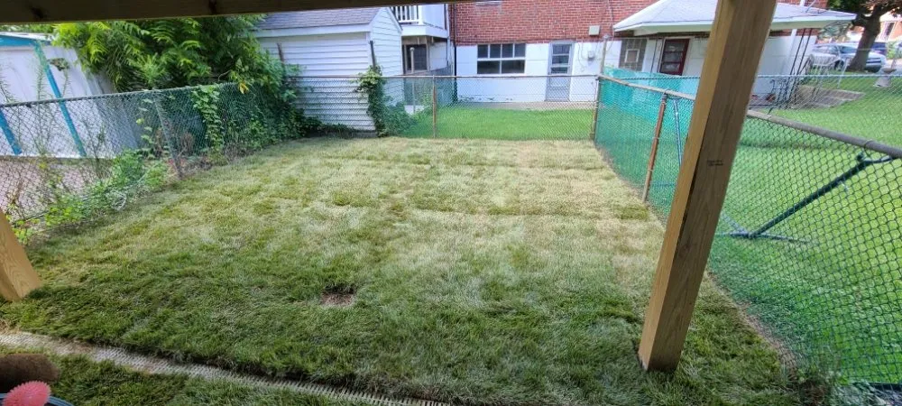Professional lawn care service in Bristol, PA - Lush Landscaping