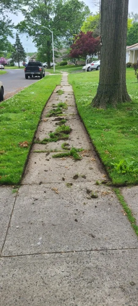 Trusted yard cleanup service near you in Bristol, PA by Lush Landscaping