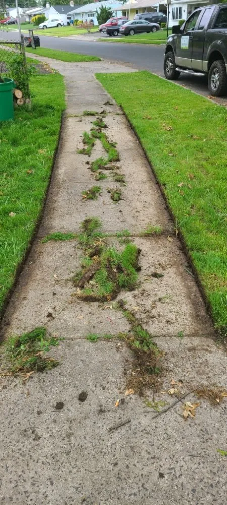 Top-rated outdoor landscaping in Bristol, PA - Lush Landscaping