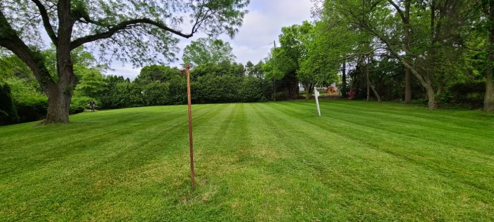 Reliable yard cleanup service for residential properties across Bristol, PA - Lush Landscaping