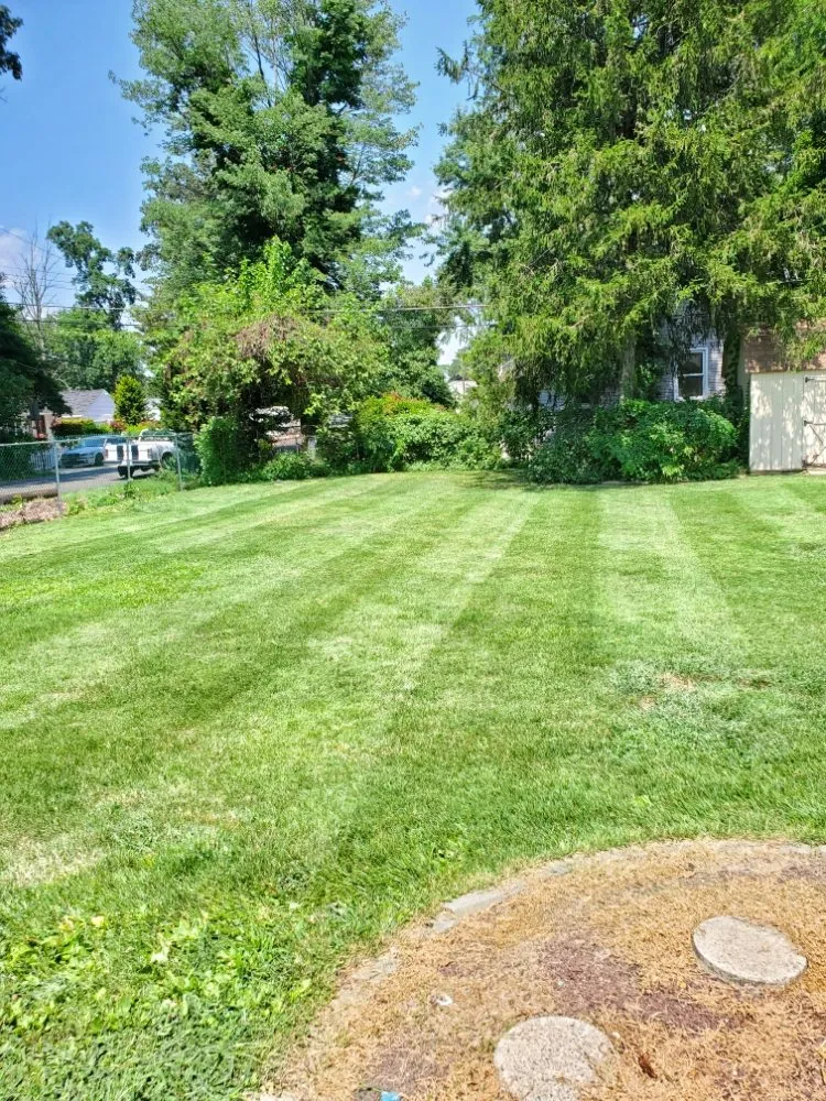 Trusted landscape design in Bristol, PA by Lush Landscaping