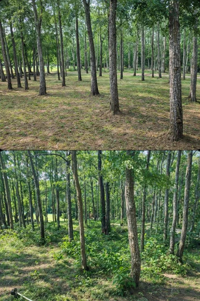 Expert yard maintenance in Enid, OK - Lush Landscaping