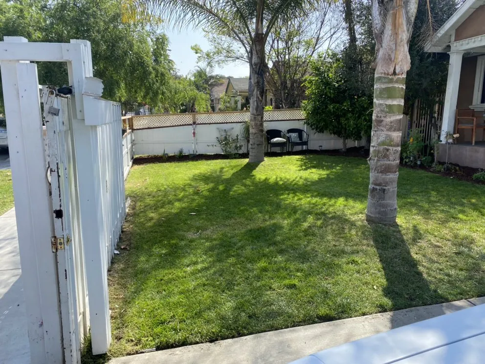 Top-rated yard cleanup service for beautiful yards in Los Angeles, CA by Lush Landscaping