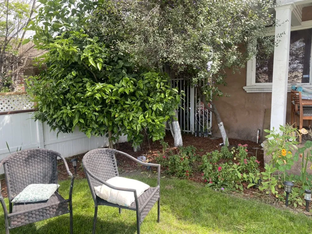 Professional yard maintenance in Los Angeles, CA by Lush Landscaping