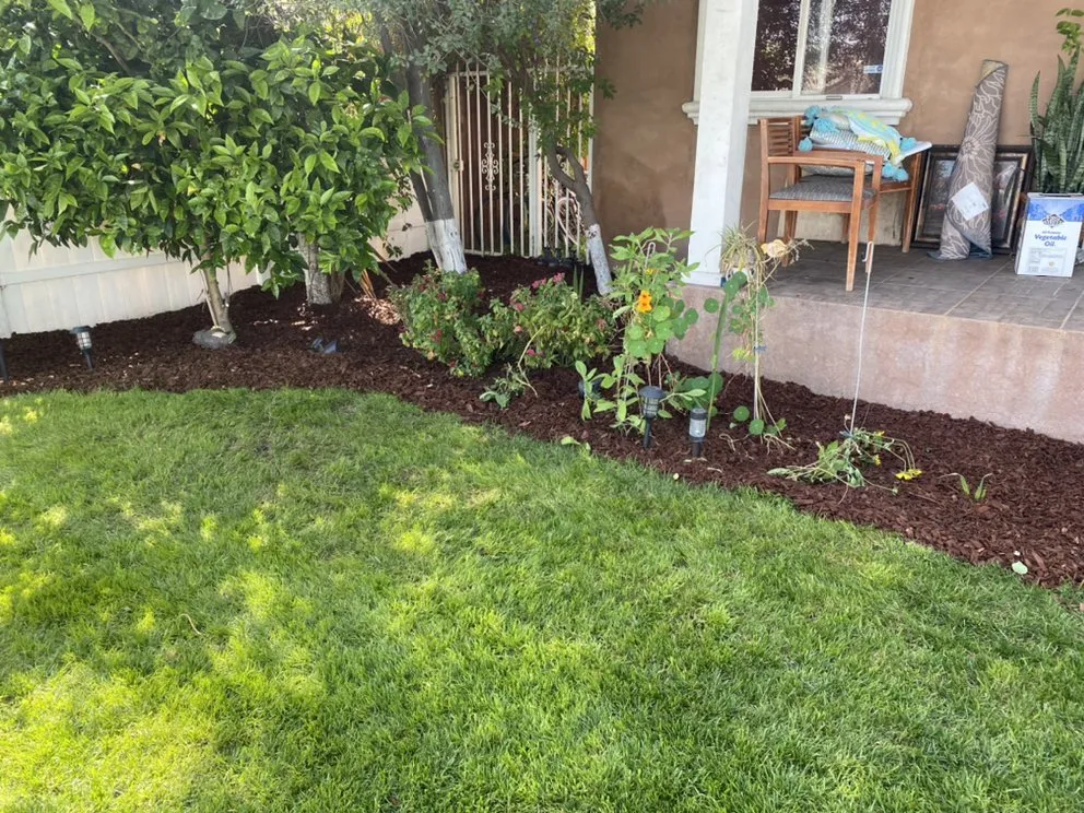 Reliable residential landscaping experts serving Los Angeles, CA - Lush Landscaping