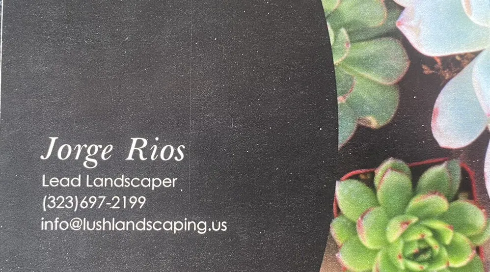 Custom residential landscaping experts serving Los Angeles, CA - Lush Landscaping